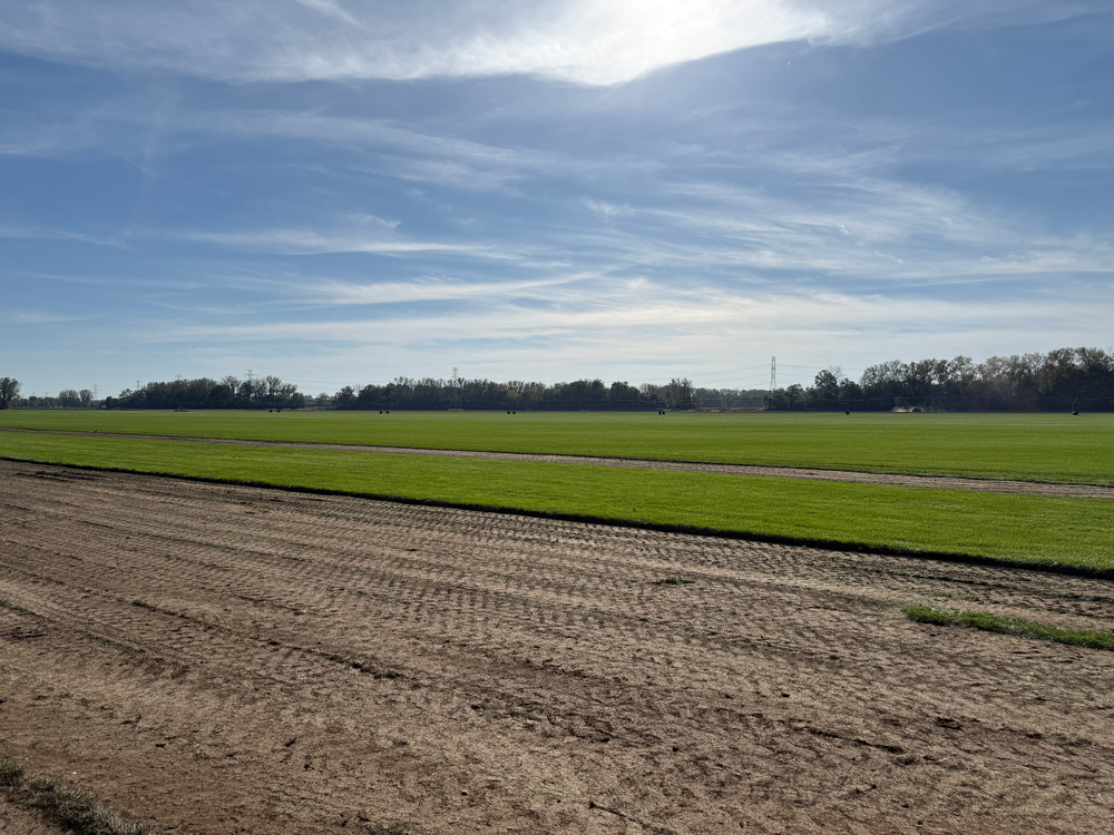 Understanding Cap Rates: A Landowner's Guide to How Investors Value Farmland