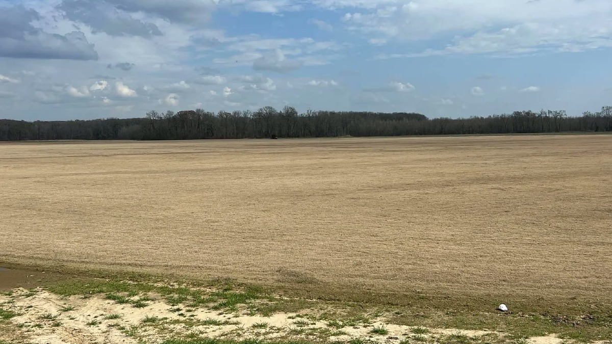 184 Acre Established Sod Farm
