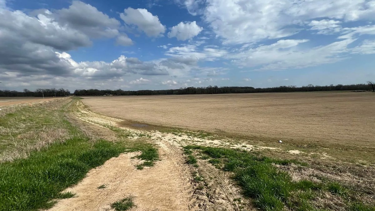 184 Acre Established Sod Farm