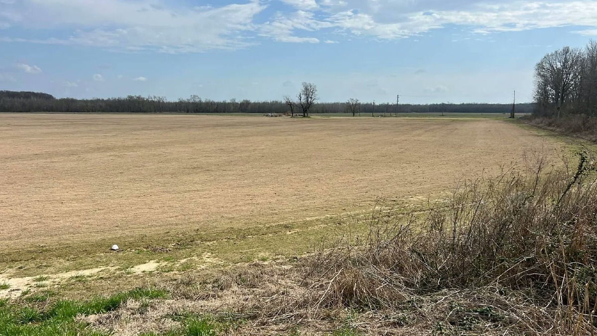 184 Acre Established Sod Farm