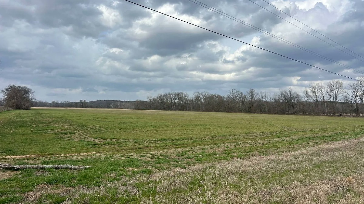 184 Acre Established Sod Farm