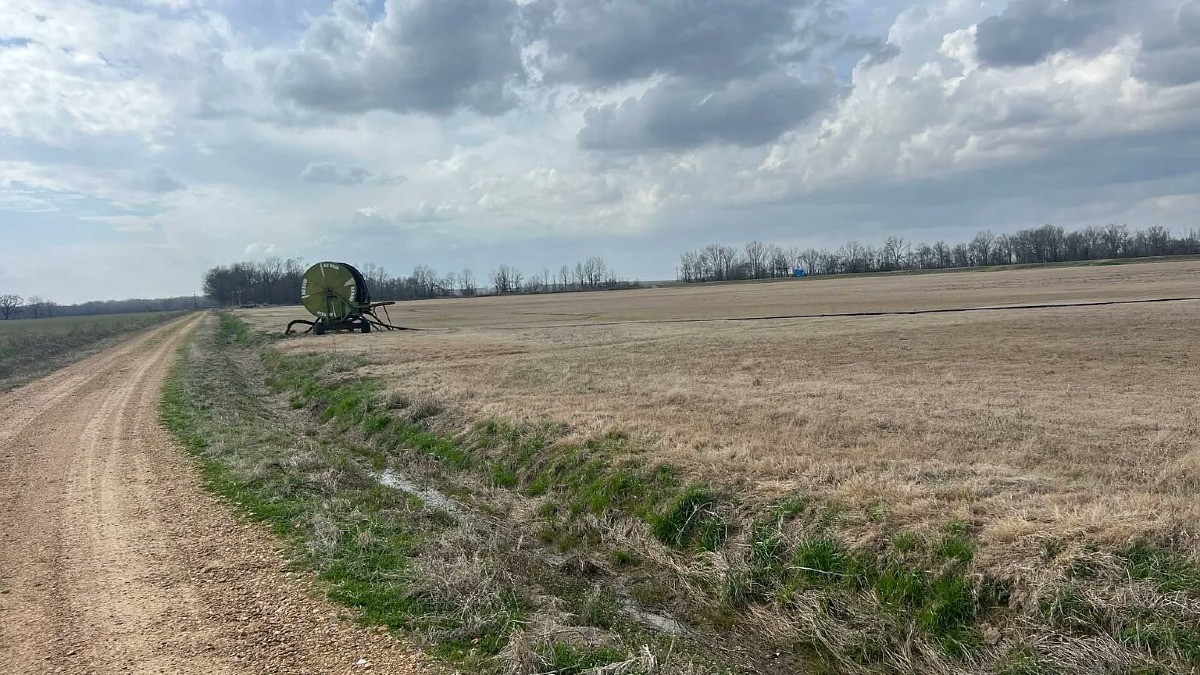 184 Acre Established Sod Farm