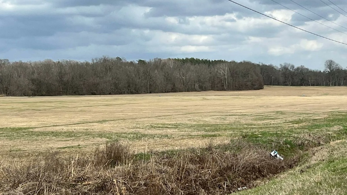 184 Acre Established Sod Farm