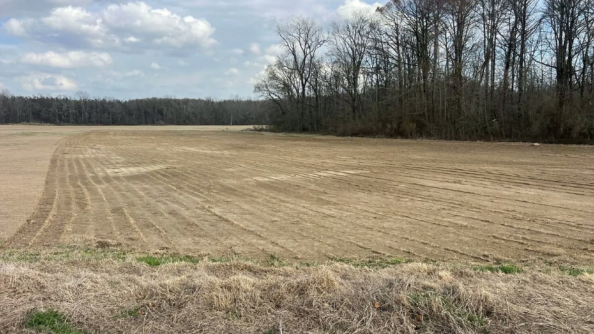184 Acre Established Sod Farm