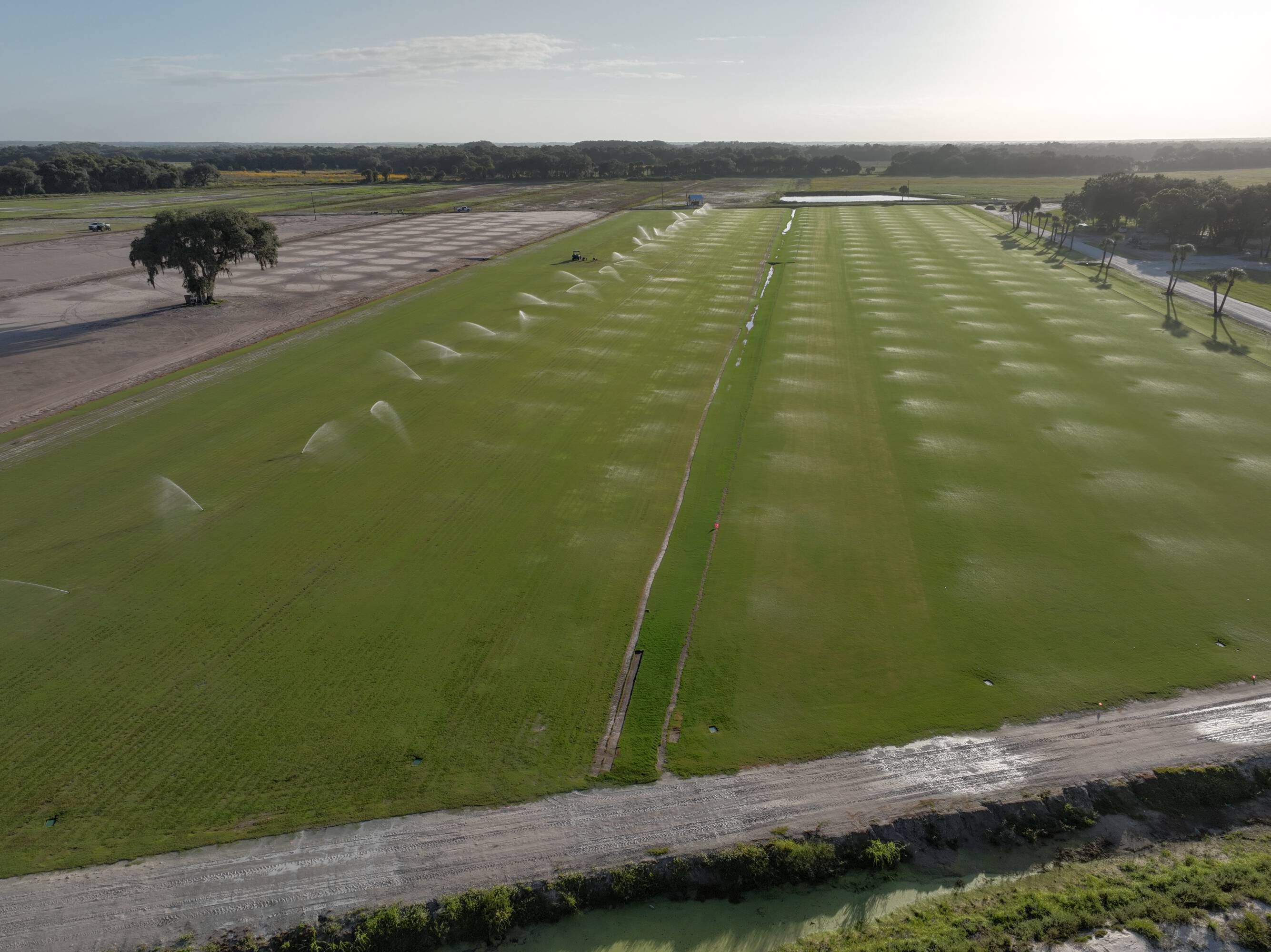 Morning aerial of irrigated Bermuda and St. Augustine sod fields in Clewiston, FL