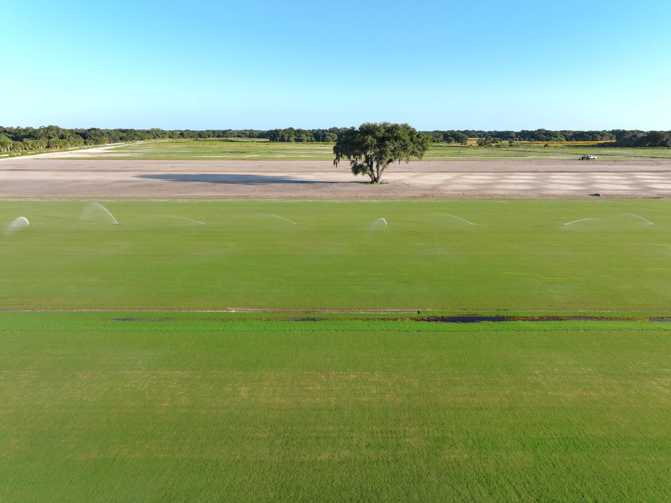 Sprinklers irrigating turf fields at dusk on the Clewiston sod farm