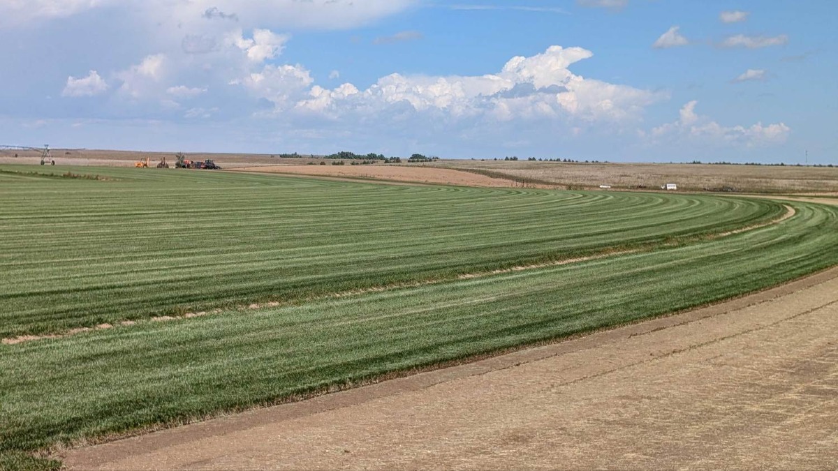 High Mesa Farm – 559 Acres of Irrigated Sod & Farmland