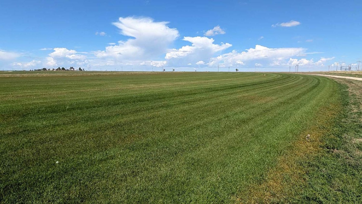 High Mesa Farm – 559 Acres of Irrigated Sod & Farmland