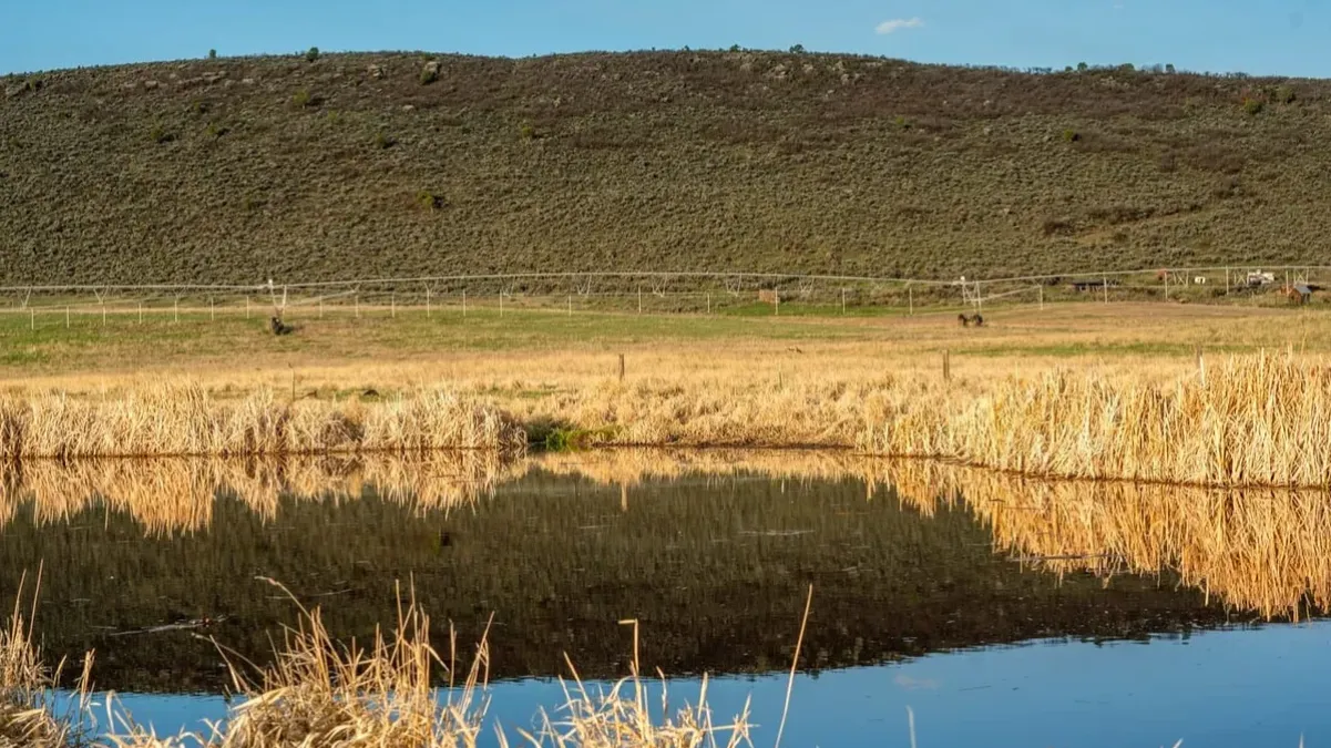 Spring Valley Hay & Sod Farm