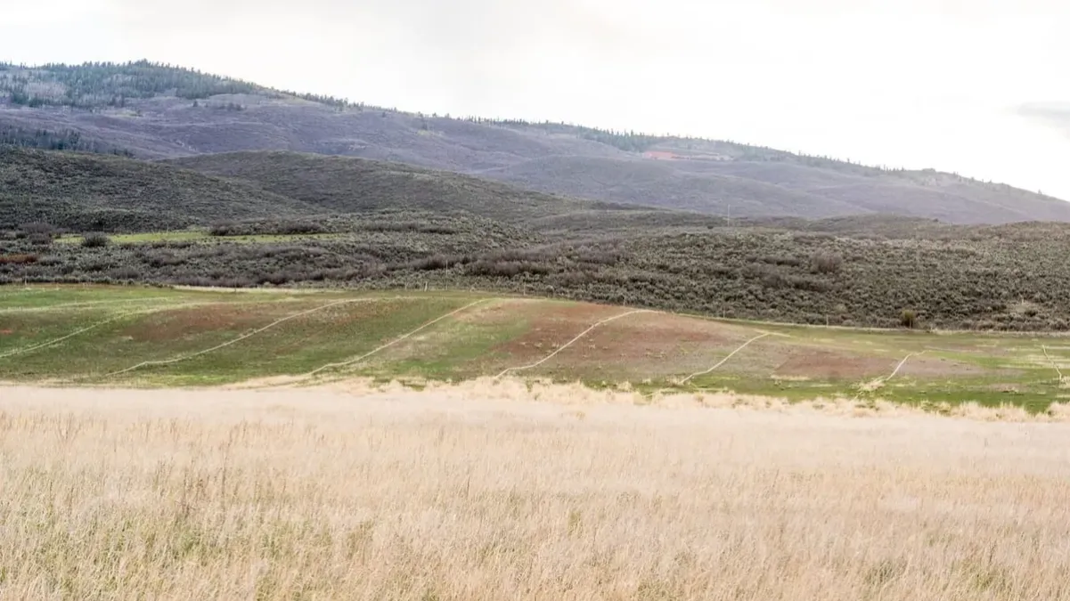 Spring Valley Hay & Sod Farm