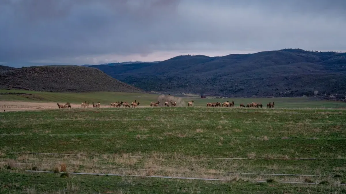 Spring Valley Hay & Sod Farm