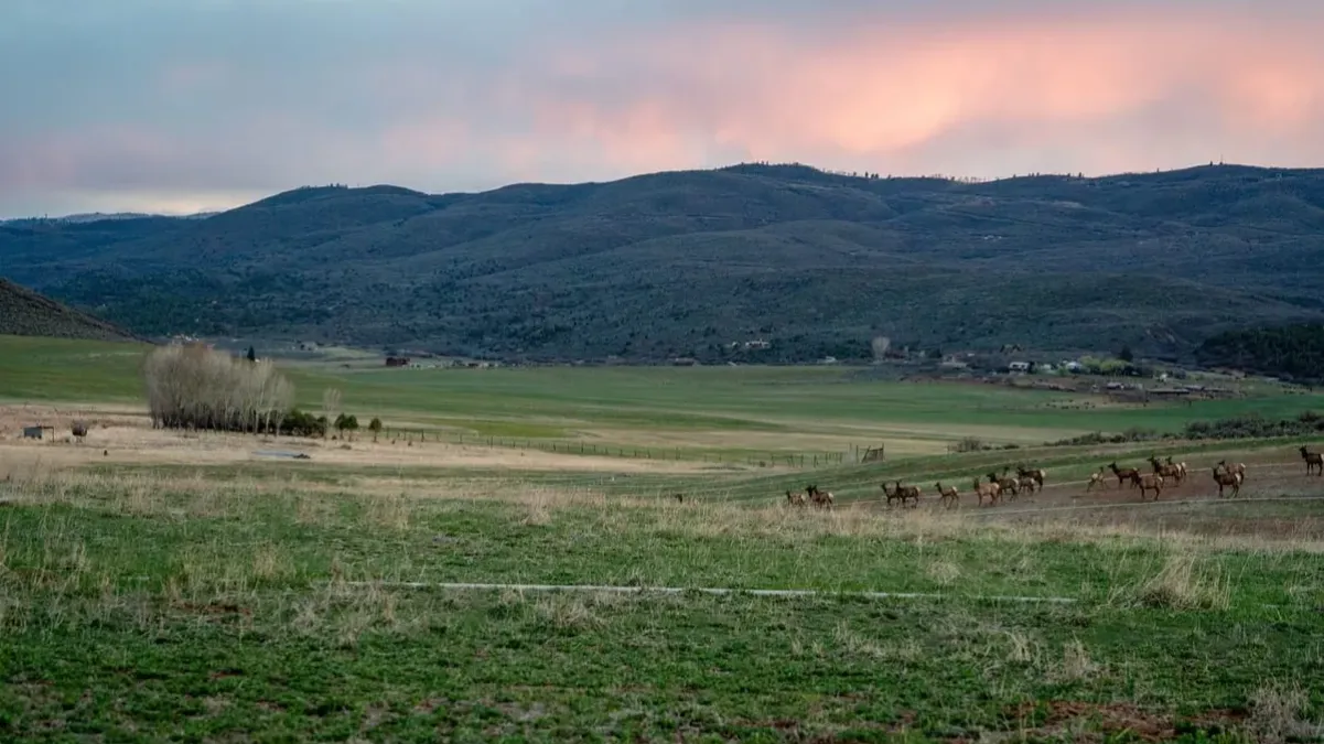 Spring Valley Hay & Sod Farm