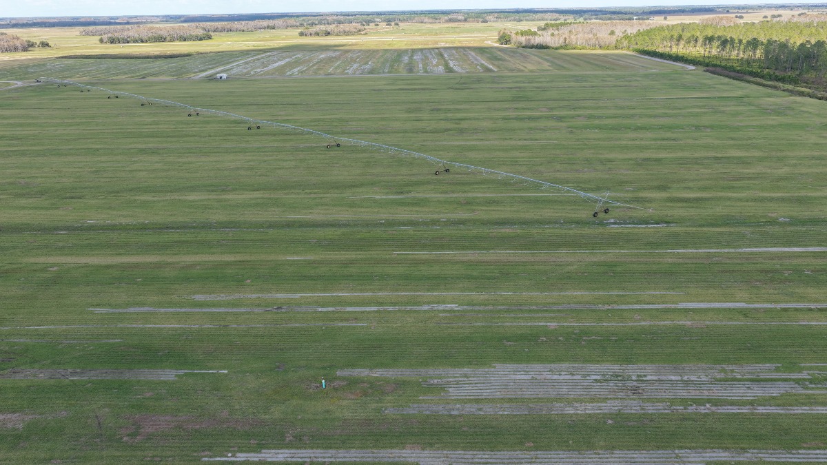 3,862 Acre Sod Operation