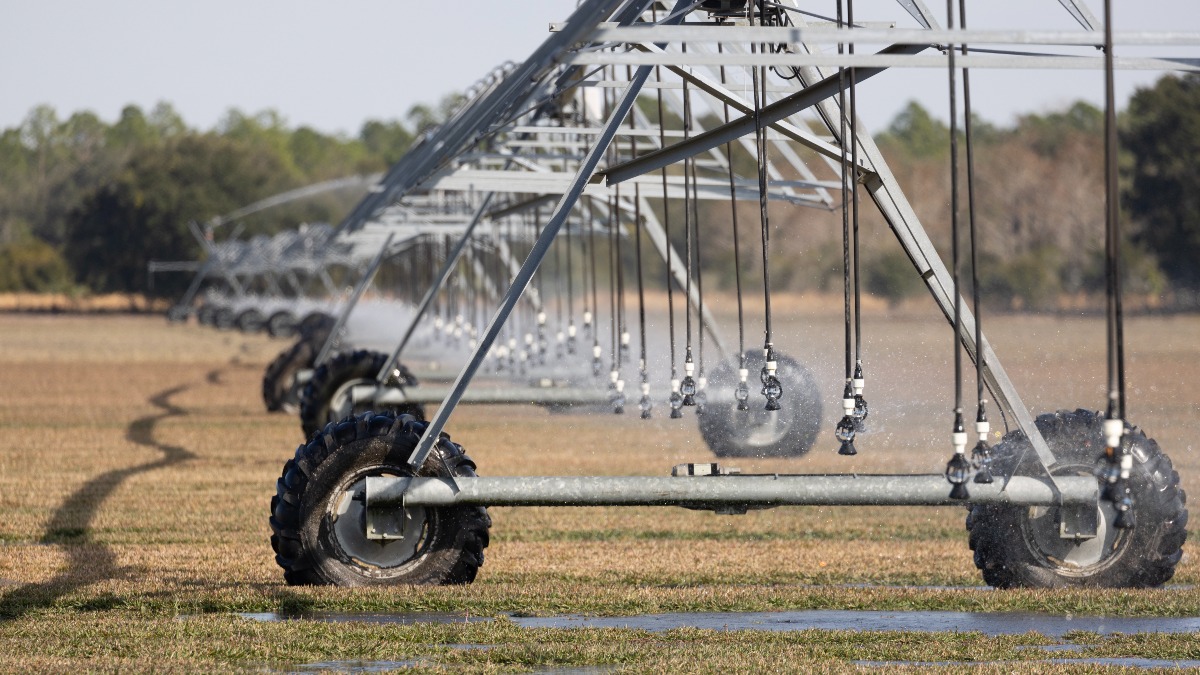 3,862 Acre Sod Operation