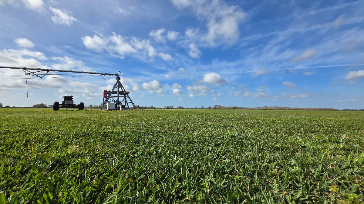 3,862 Acre Sod Operation