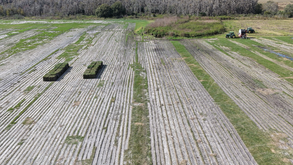 3,862 Acre Sod Operation